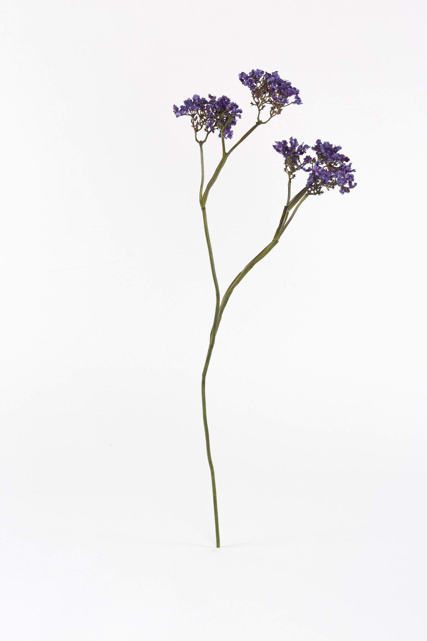 Silk Flower Stems, Artificial Berries & Foliage Shop Online