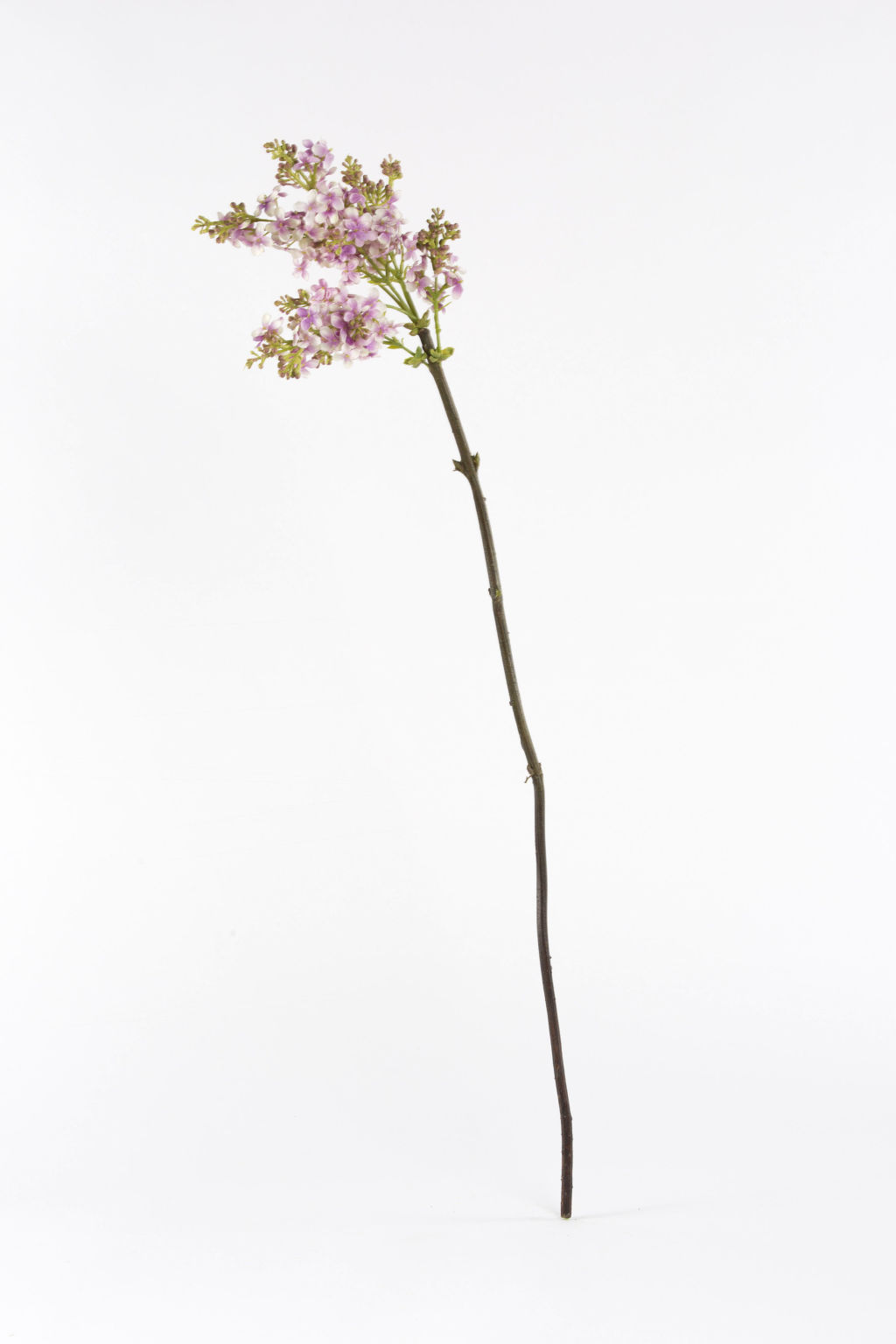 Silk Flower Stems, Artificial Berries & Foliage Shop Online