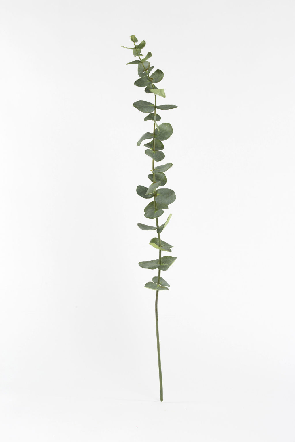 Silk Flower Stems, Artificial Berries & Foliage Shop Online