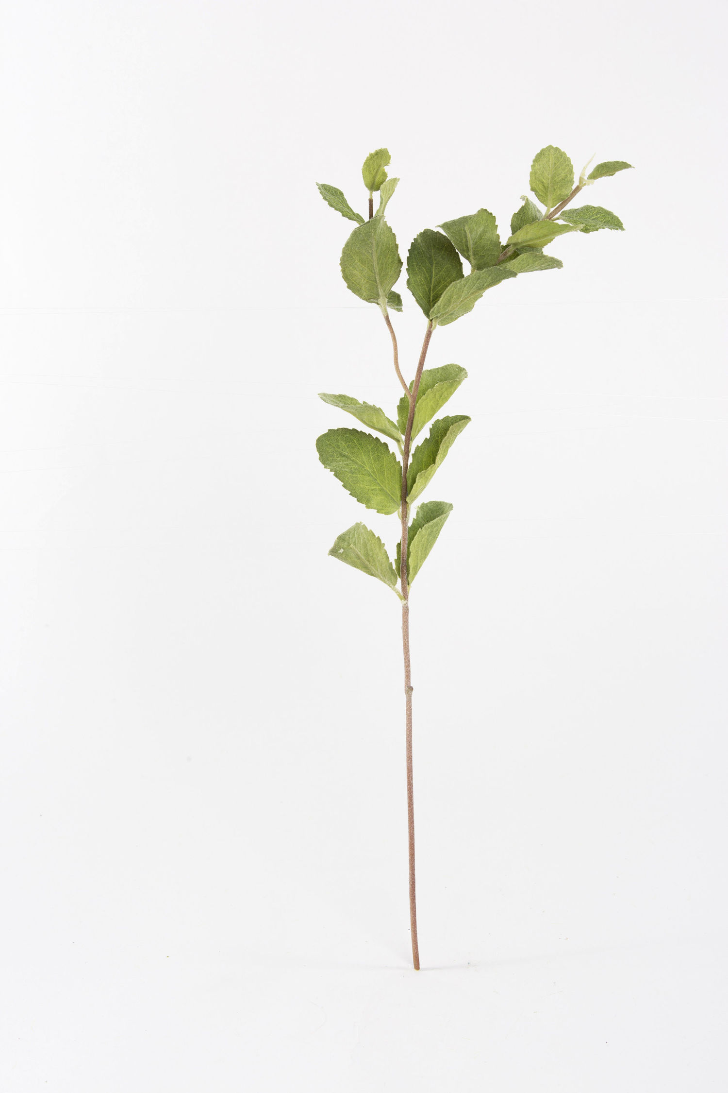 Silk Flower Stems, Artificial Berries & Foliage Shop Online