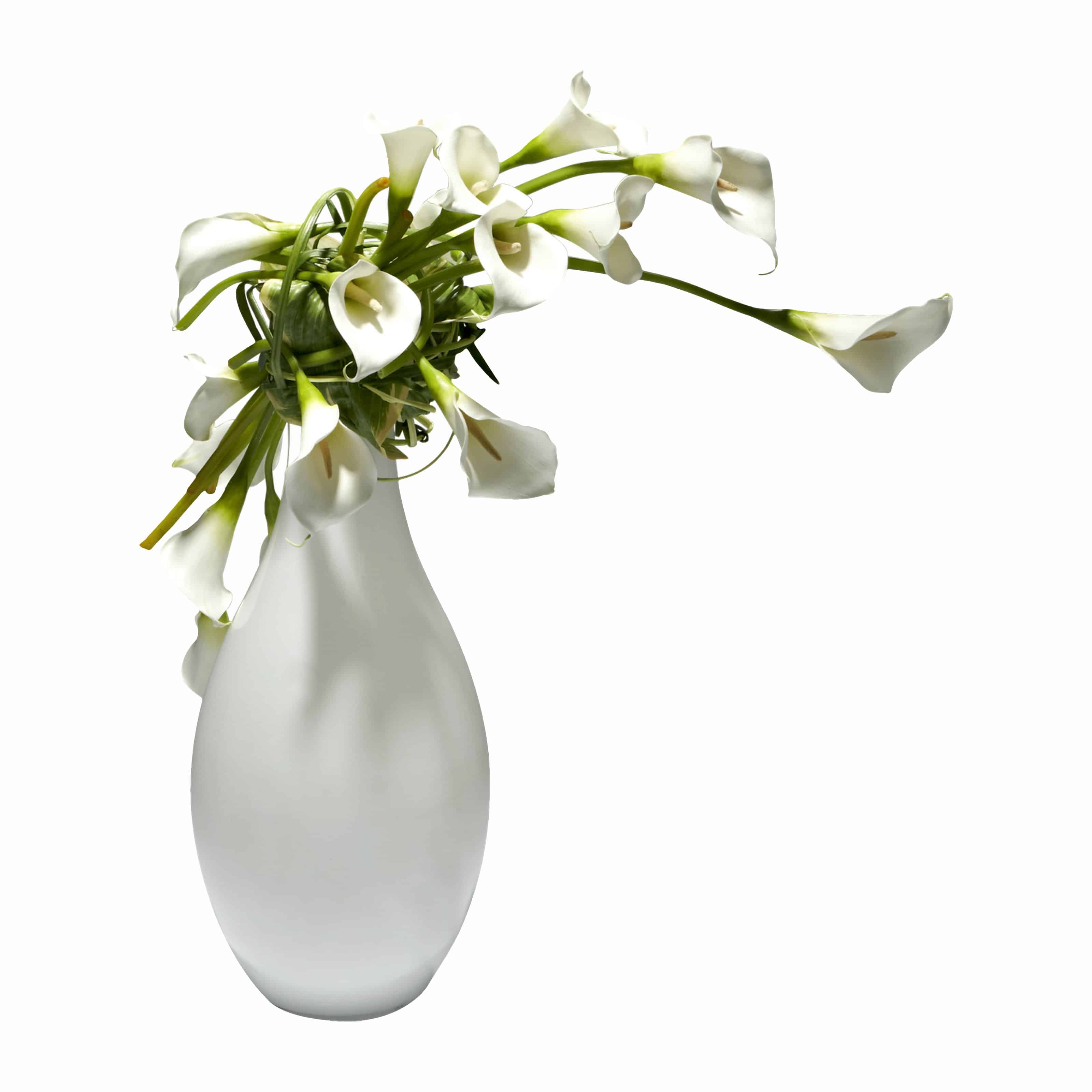 Shop for our modern arrangement of pure white silk calla lily flowers in a white glass vase. Using our immaculate faux calla lilies for this stylish design.