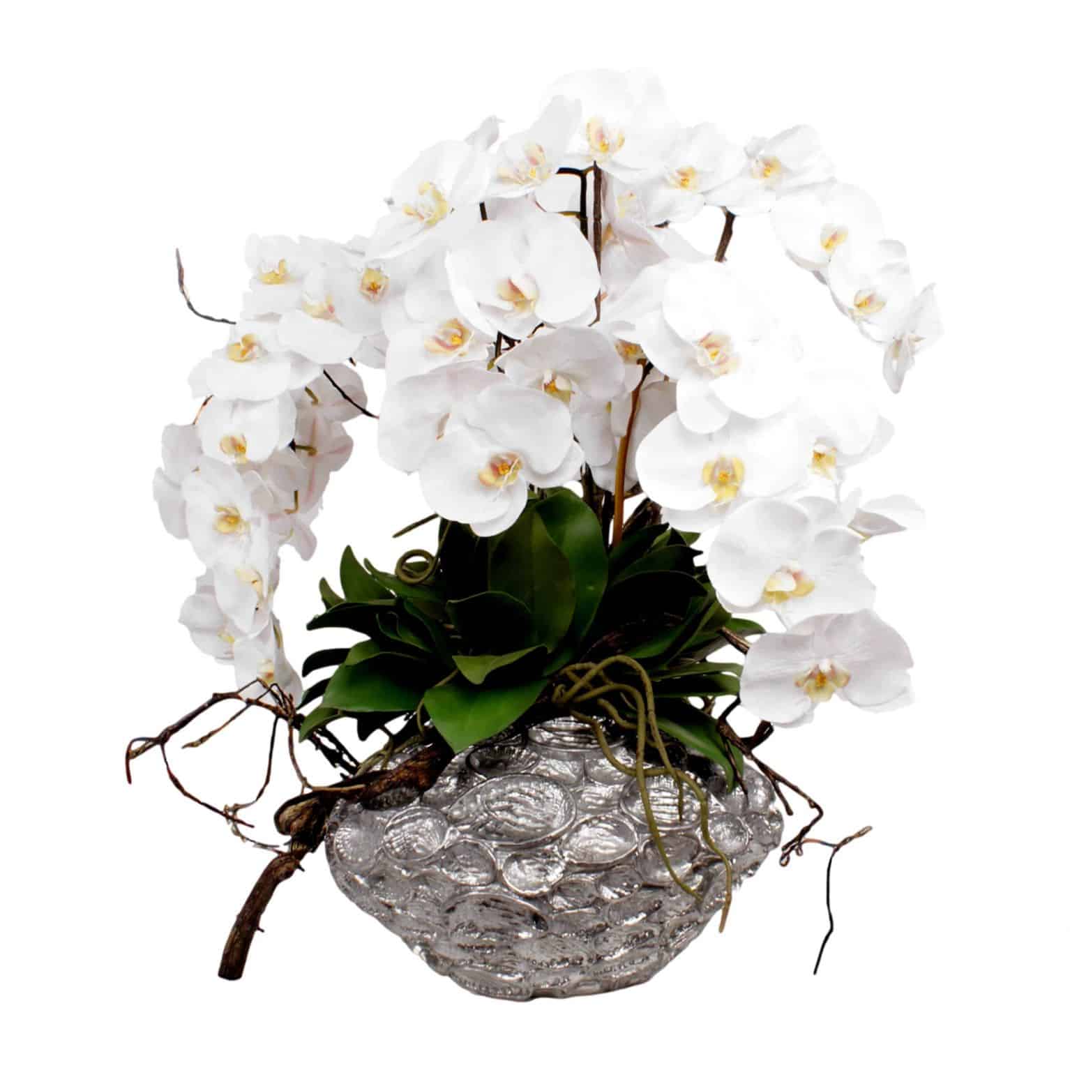 Shop for our large white head phalaenopsis orchid silk flower. Each gorgeous head has a natural look with lifelike detail. Arranged with artificial orchid leaves.