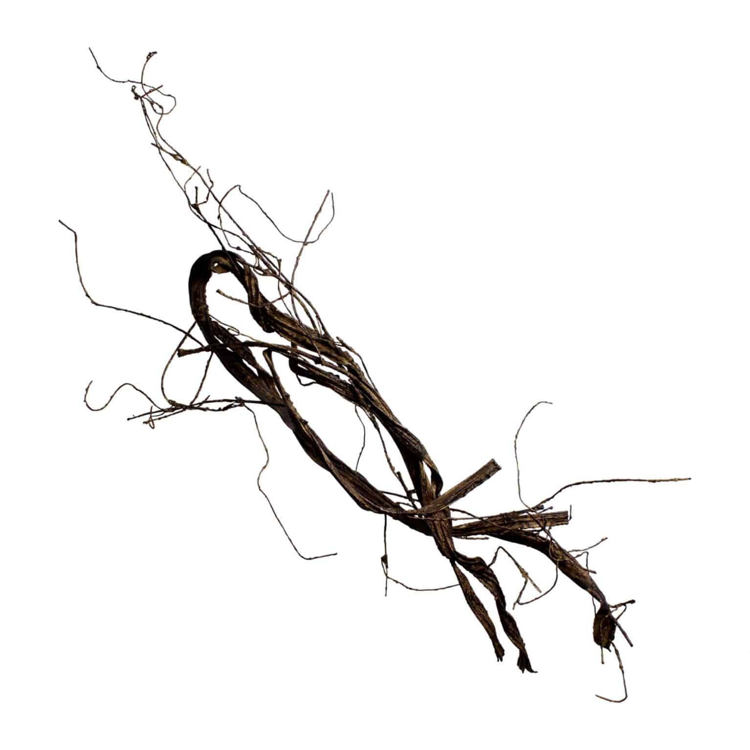 Buy our artificial flax twig to add rustic earthy beauty to your arrangement designs. Easy shape into any style