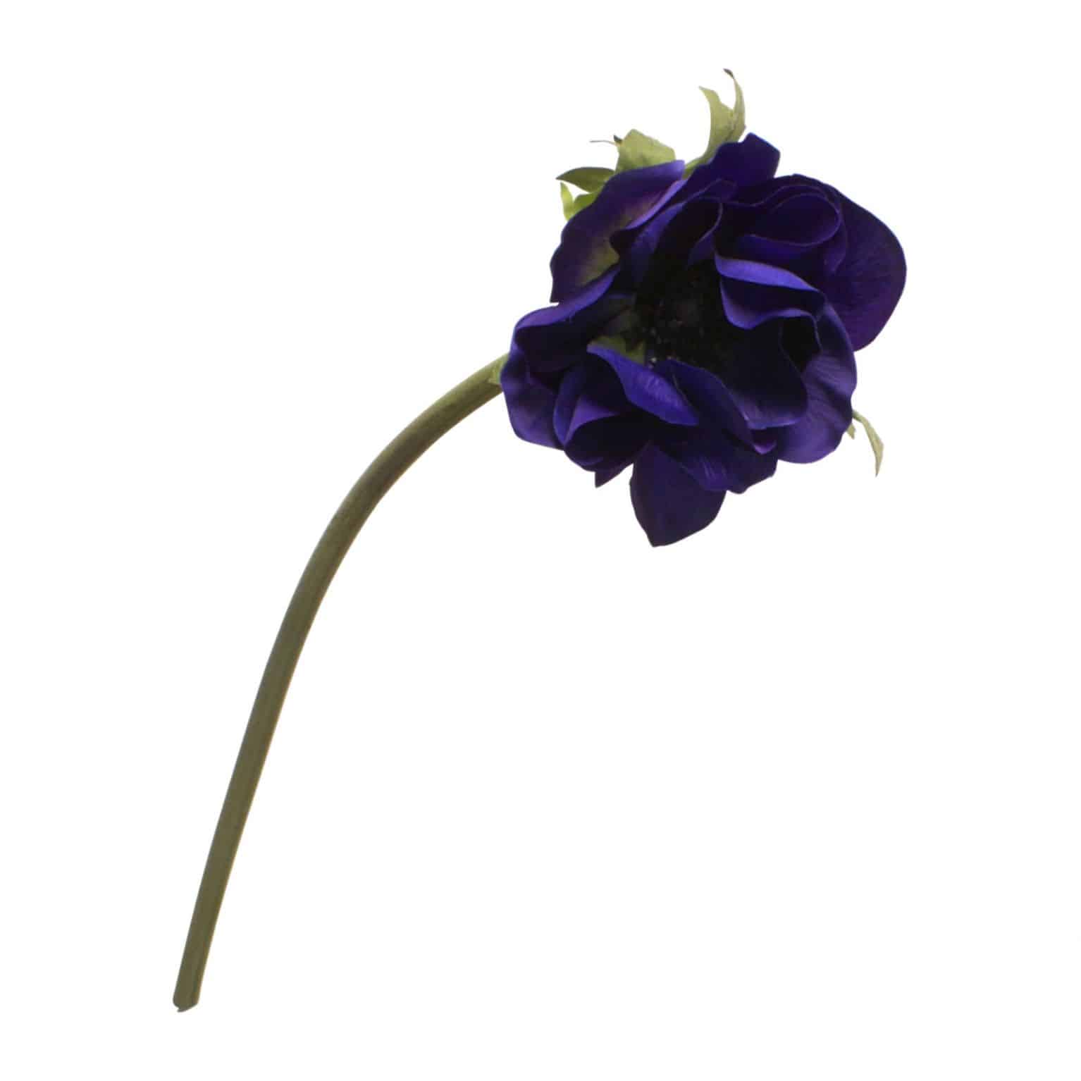 Buy deep purple anemone stem