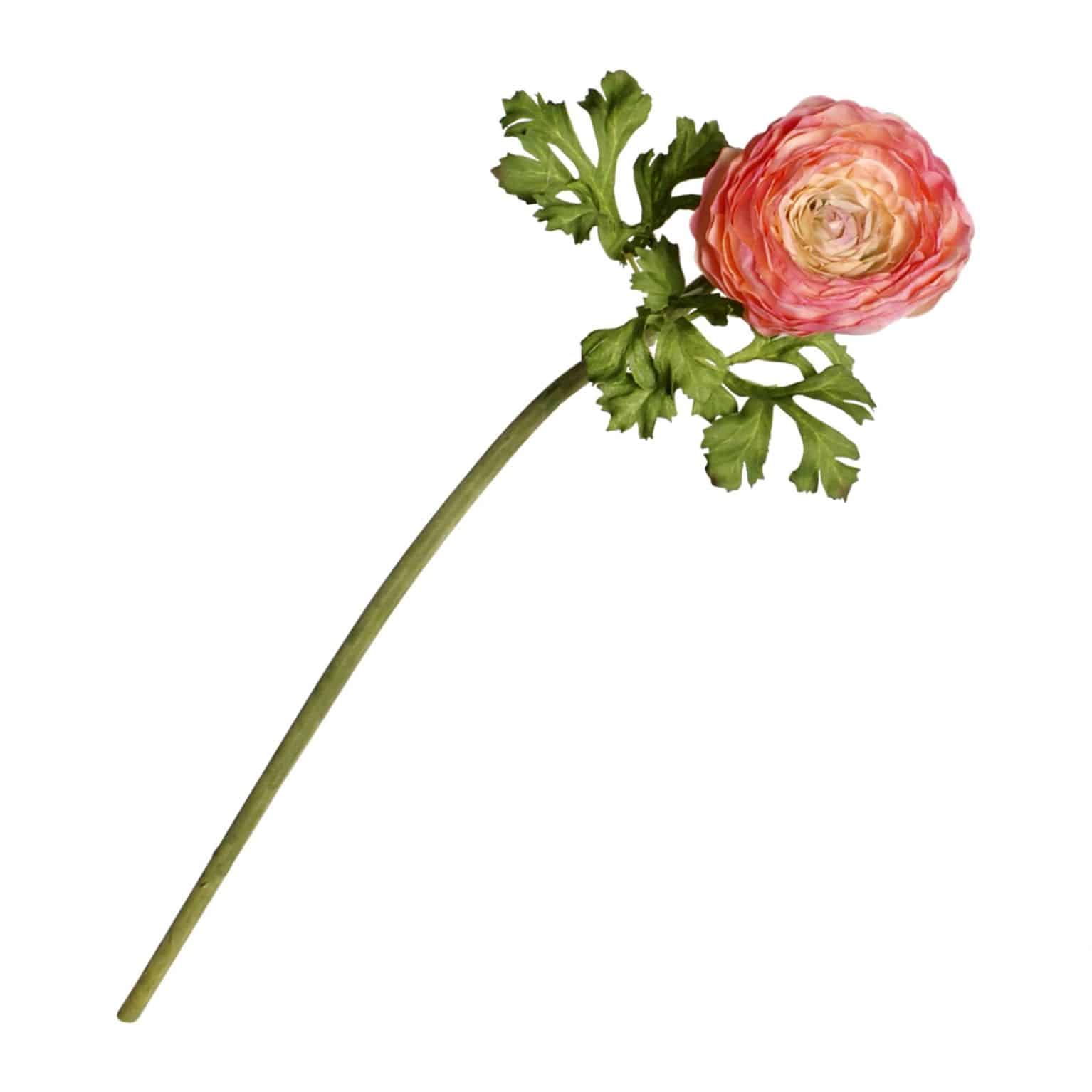Fully bloomed ranunculus silk flower is wonderfully designed to show this flower at its finest. Pink to peach colour is superbly lifelike with natural tones.