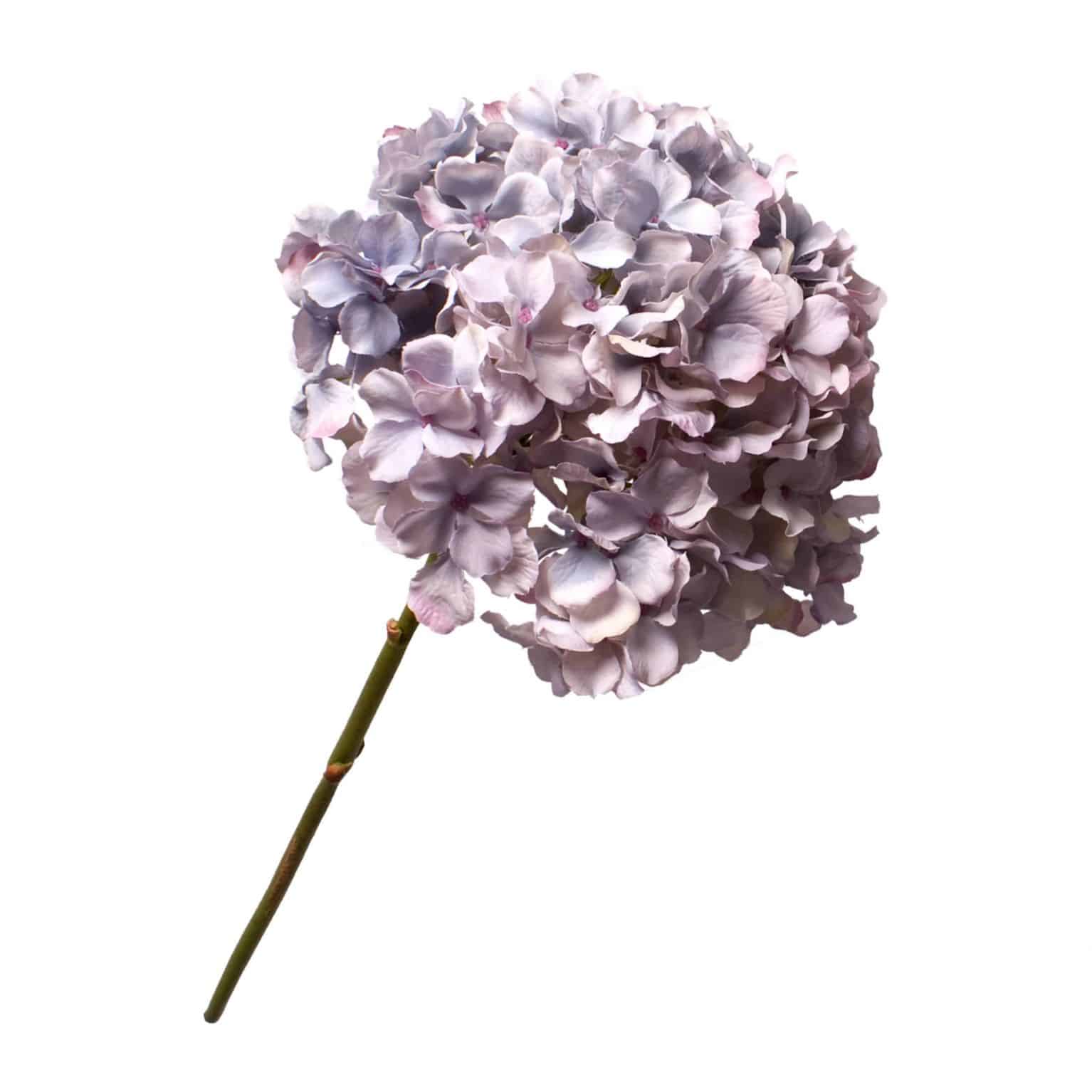 Buy silk hydrangea in authentic lavender blue. A complete arrangement in a single stem & wonderful addition to any arrangement.