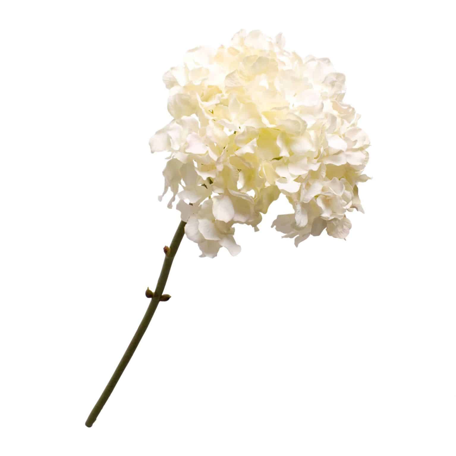 Buy faux hydrangea stem in a soft cream. Stunning arrangement in a single stem & wonderful addition to any floral display.