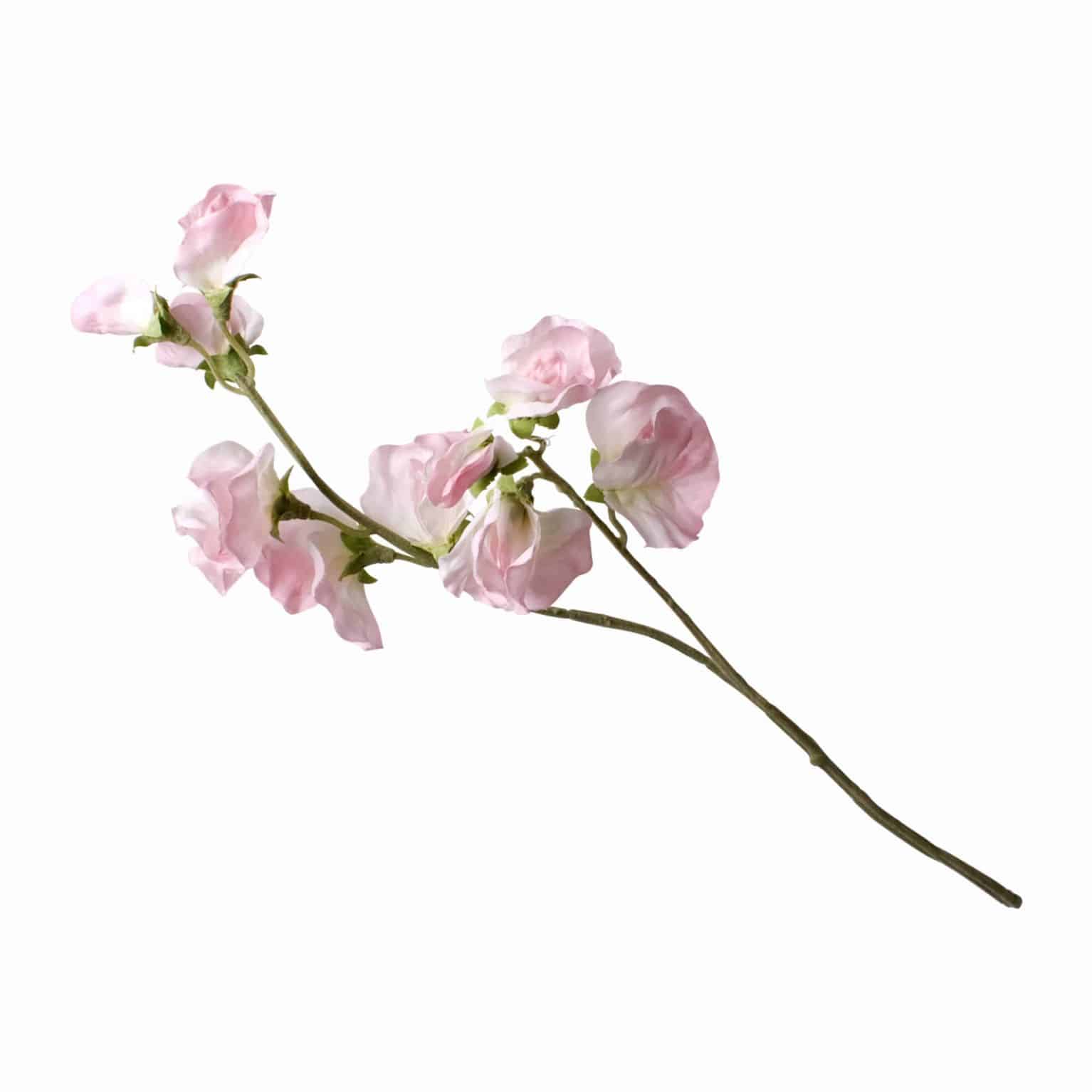Buy luxurious light pink faux sweet pea flowers in immaculate detail. A delightful addition to any arrangement