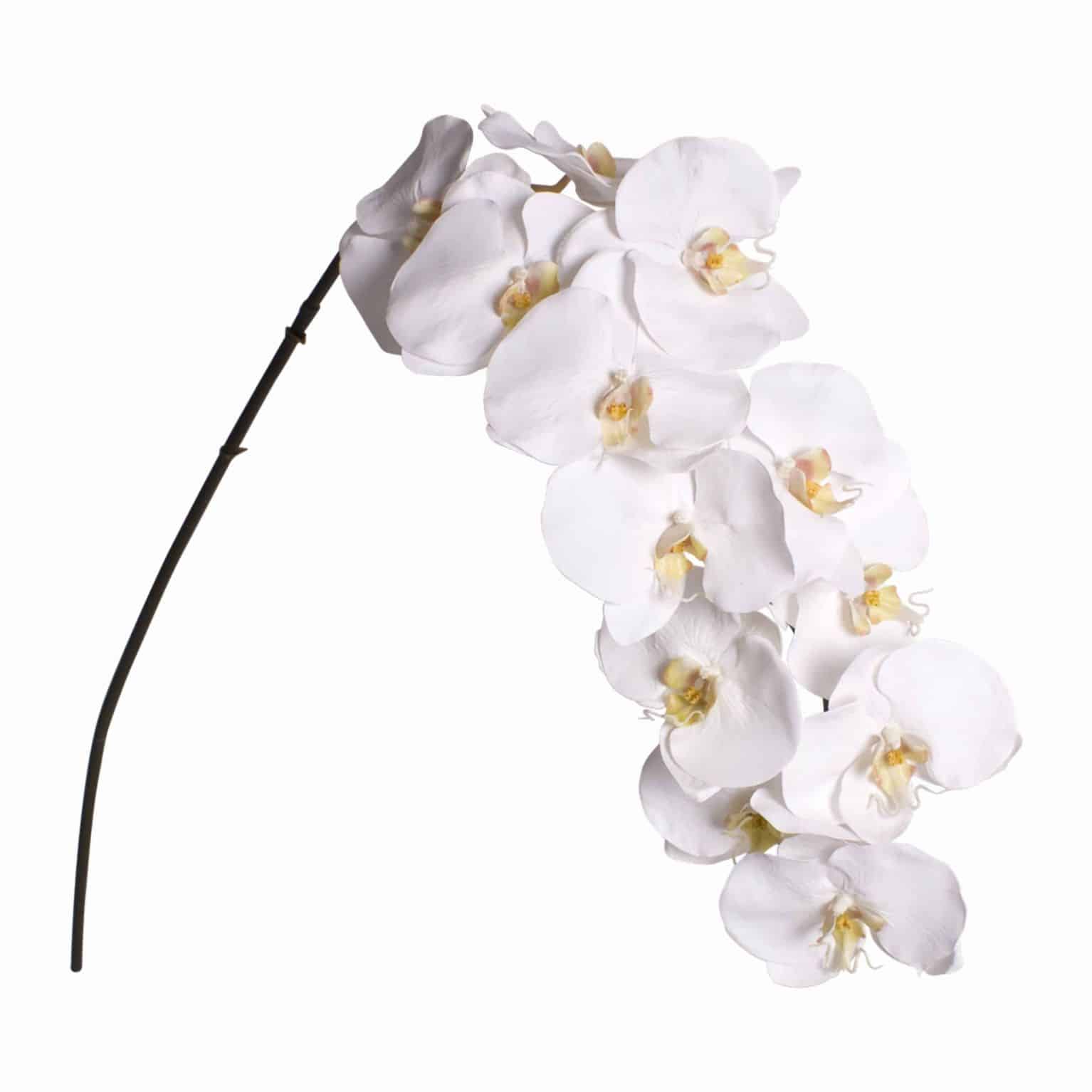 Buy classic white phalaenopsis orchid faux flower for your arrangements. Incredibly detailed lifelike pollen
