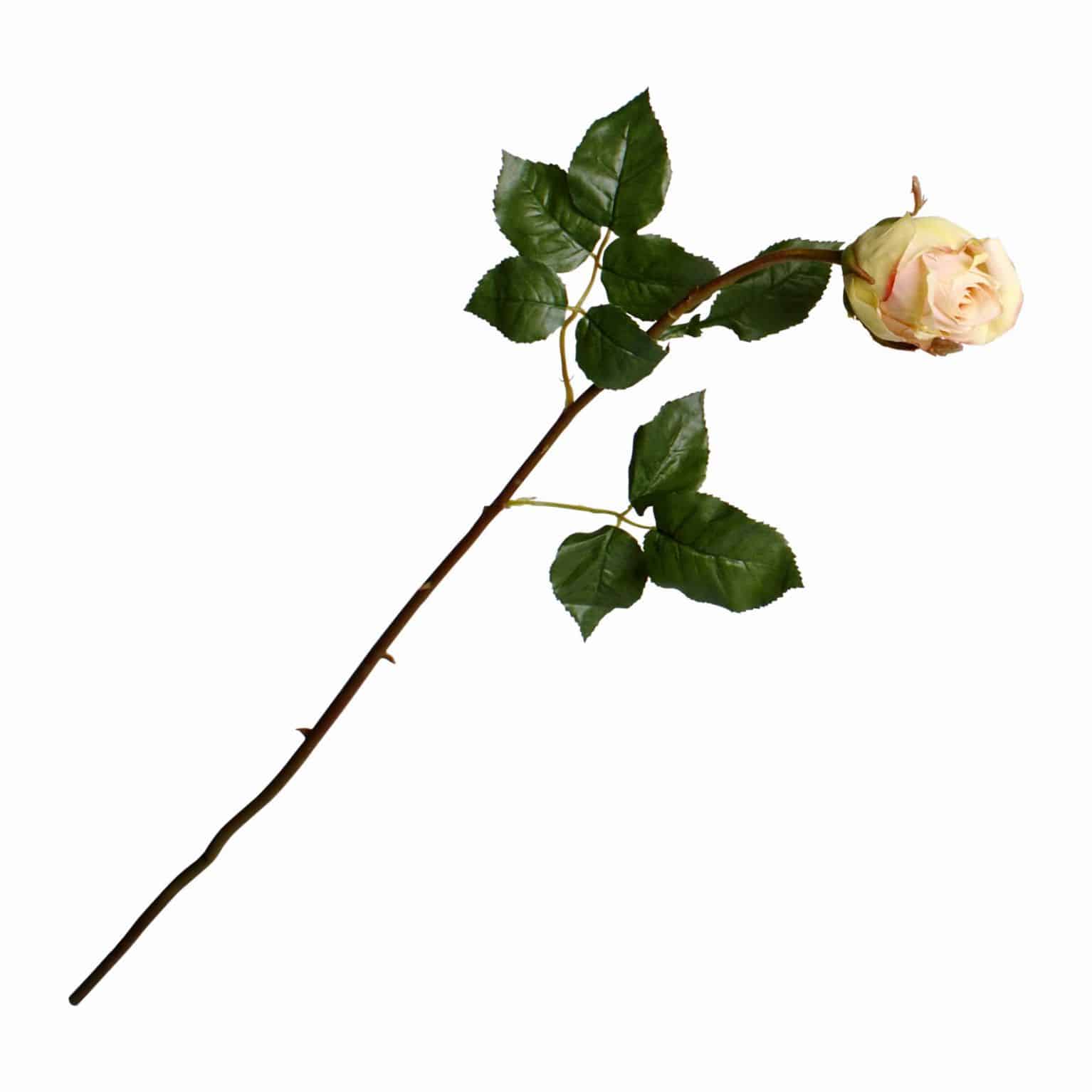 Buy the best silk roses. Our dusty pink Ecuador rose flower is truly natural looking. Each stem has a partially bloomed bud with tight petals and a long stem.
