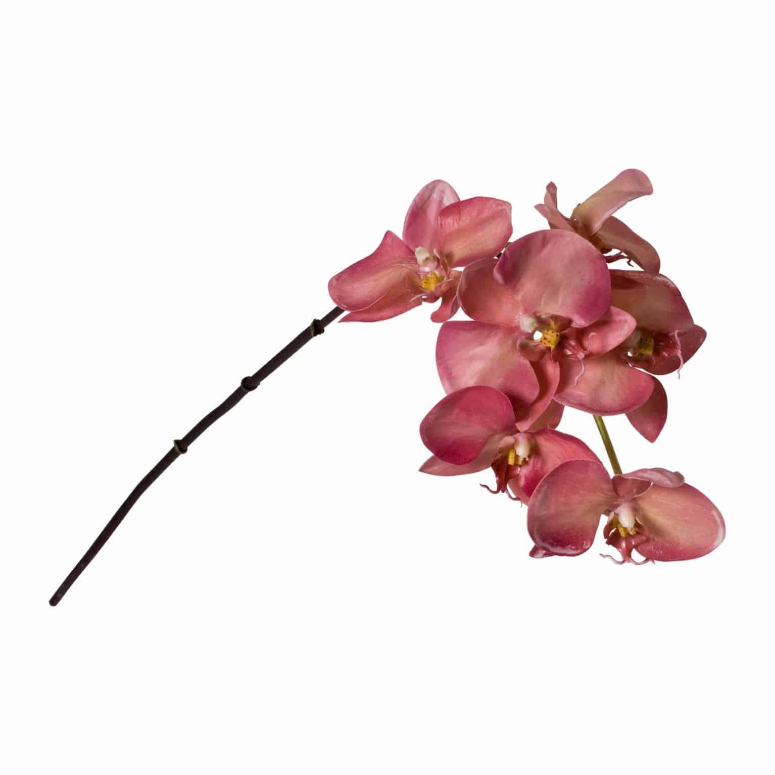 Buy our stunning mauve phalaenopsis orchid faux flower for your arrangements. Flawless pollen and natural colours