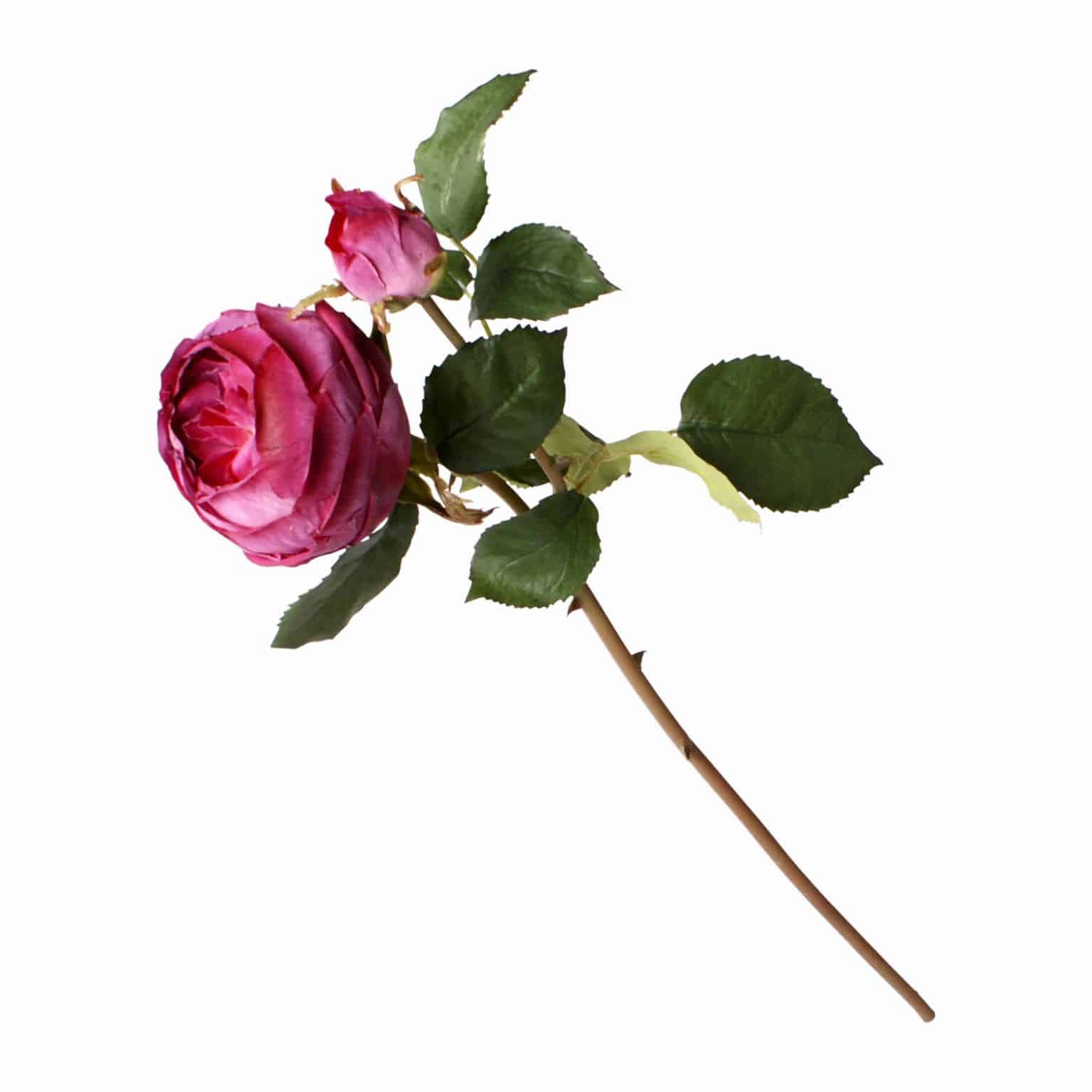 Buy our best fully bloomed rose silk flowers. Rich wine red colour of densely layered petals including a budding flower. Perfect for tall arrangements.