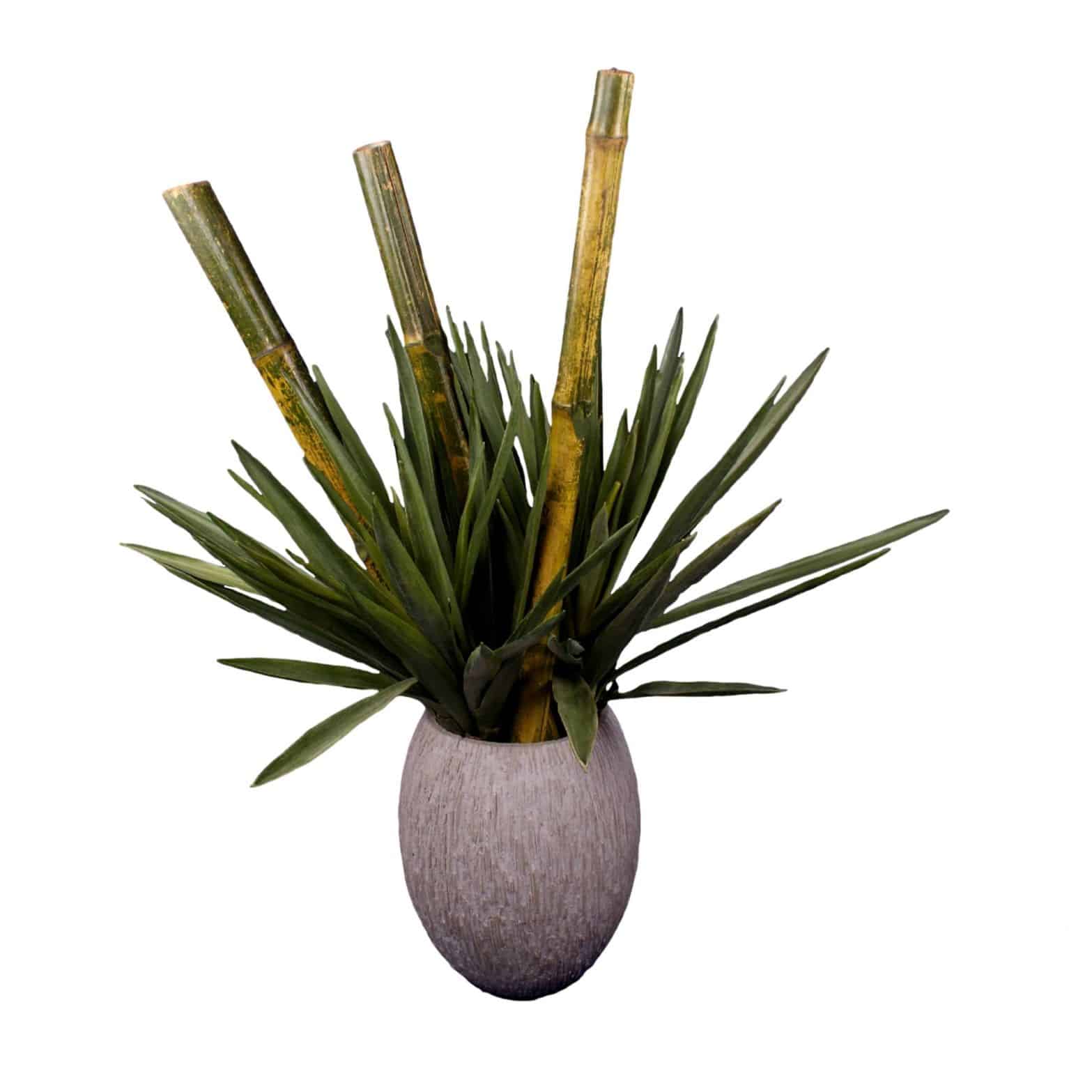 Shop for our artificial yucca plant. Truly realistic in colours and textures with bamboo this arrangement captures dramatic nature. Its also upkeep free.