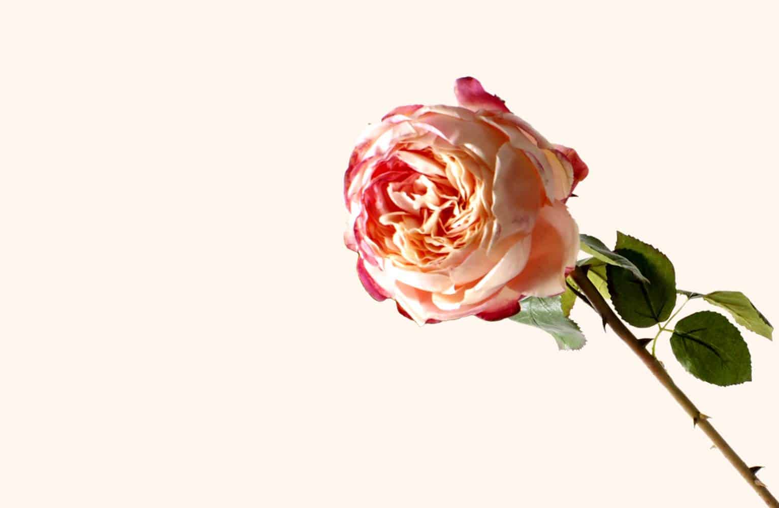 High End Professional Florists - Why Lifelike Flowers why-4